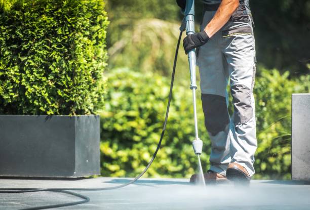 Best Driveway Pressure Washing  in Southern View, IL