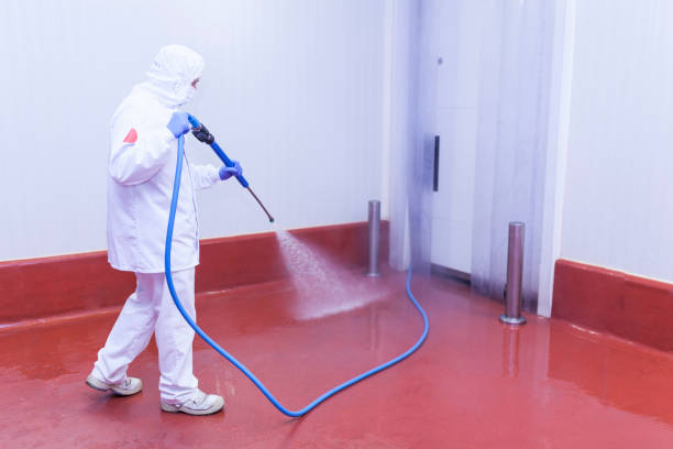 Best Patio and Deck Pressure Washing  in Southern View, IL