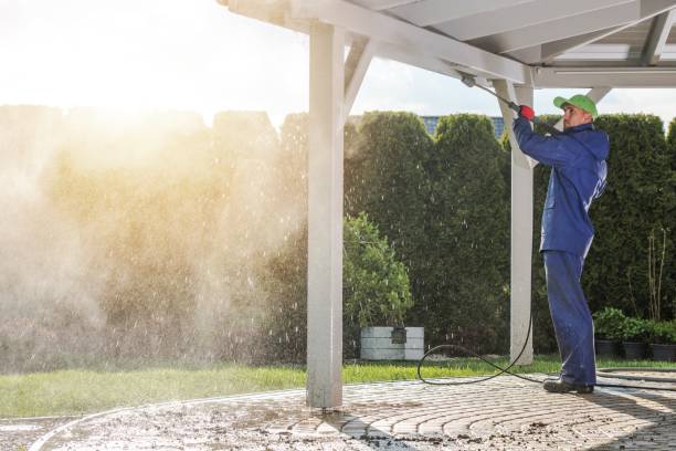 Pre-Holiday Cleaning in Southern View, IL